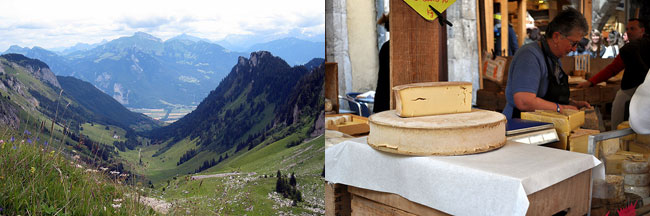 Alpine_cheese