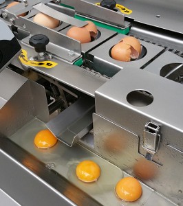 ABREX - tojás törő / sárgája-fehérje szétválasztó gép